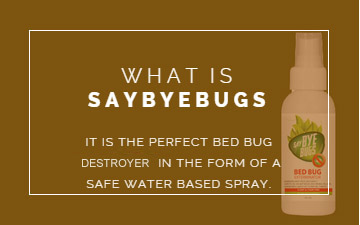 SayByeBugs - Get Rid Of Bed Bugs