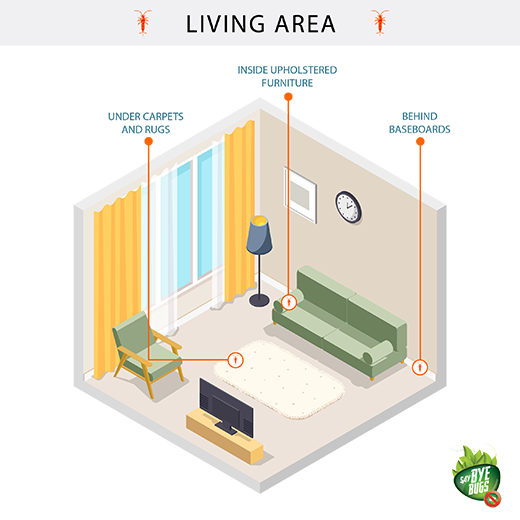 Living Area Image